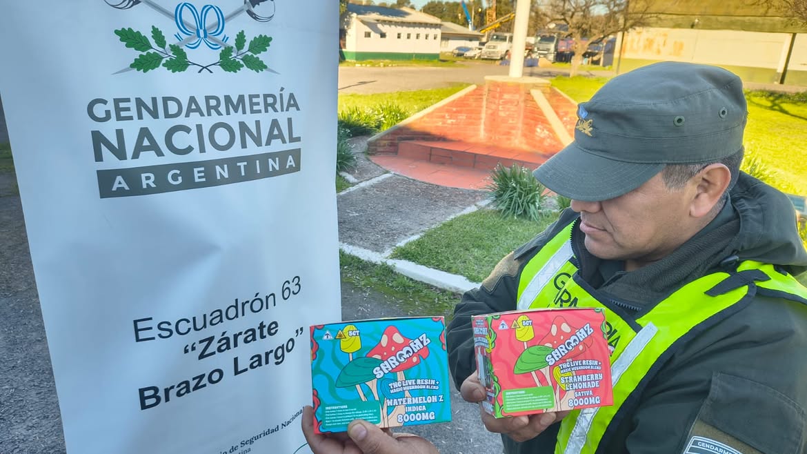 Más que saborizados: encontraron vapeadores con THC y hongos alucinógenos en Zárate 