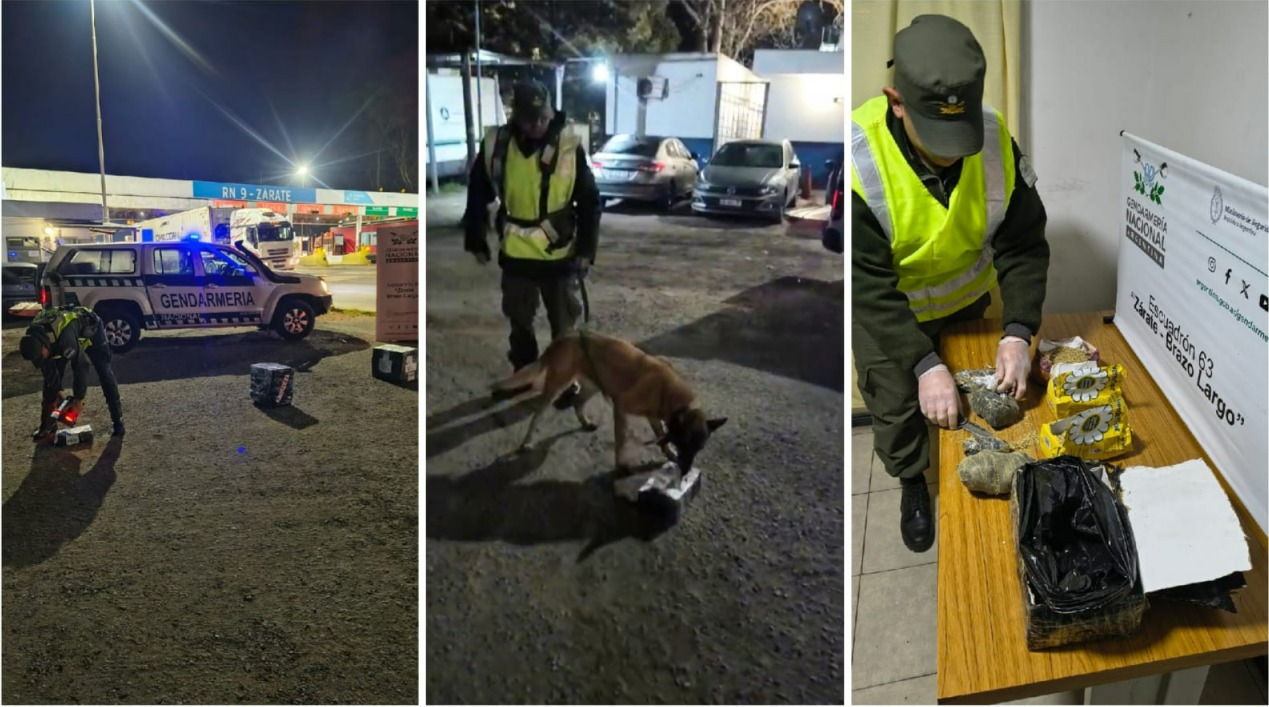 Encontraron marihuana oculta en paquetes de yerba durante un control en Zárate