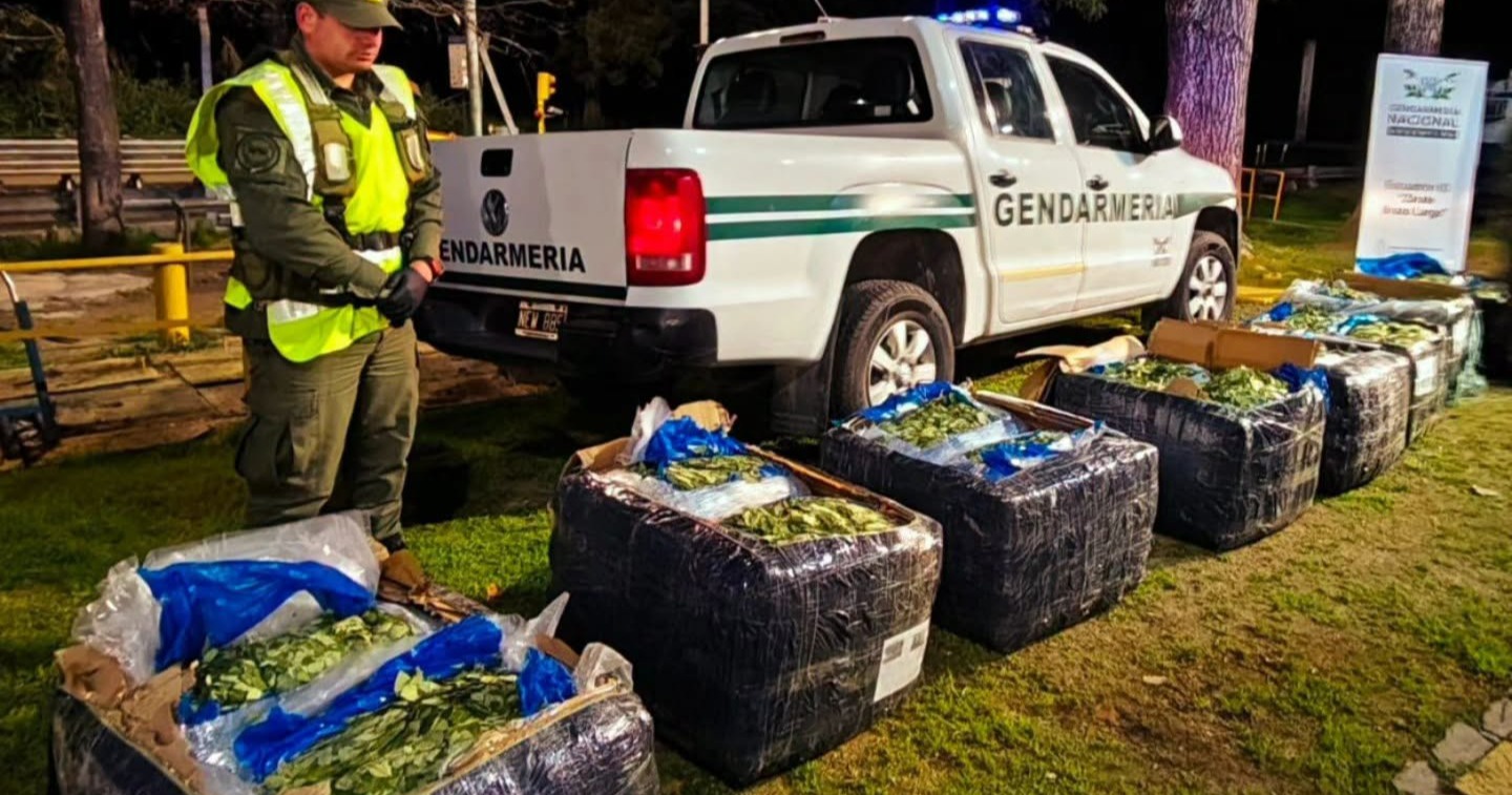 Casi 360 kilos de hojas de coca fueron secuestrados en un control sobre Ruta 9