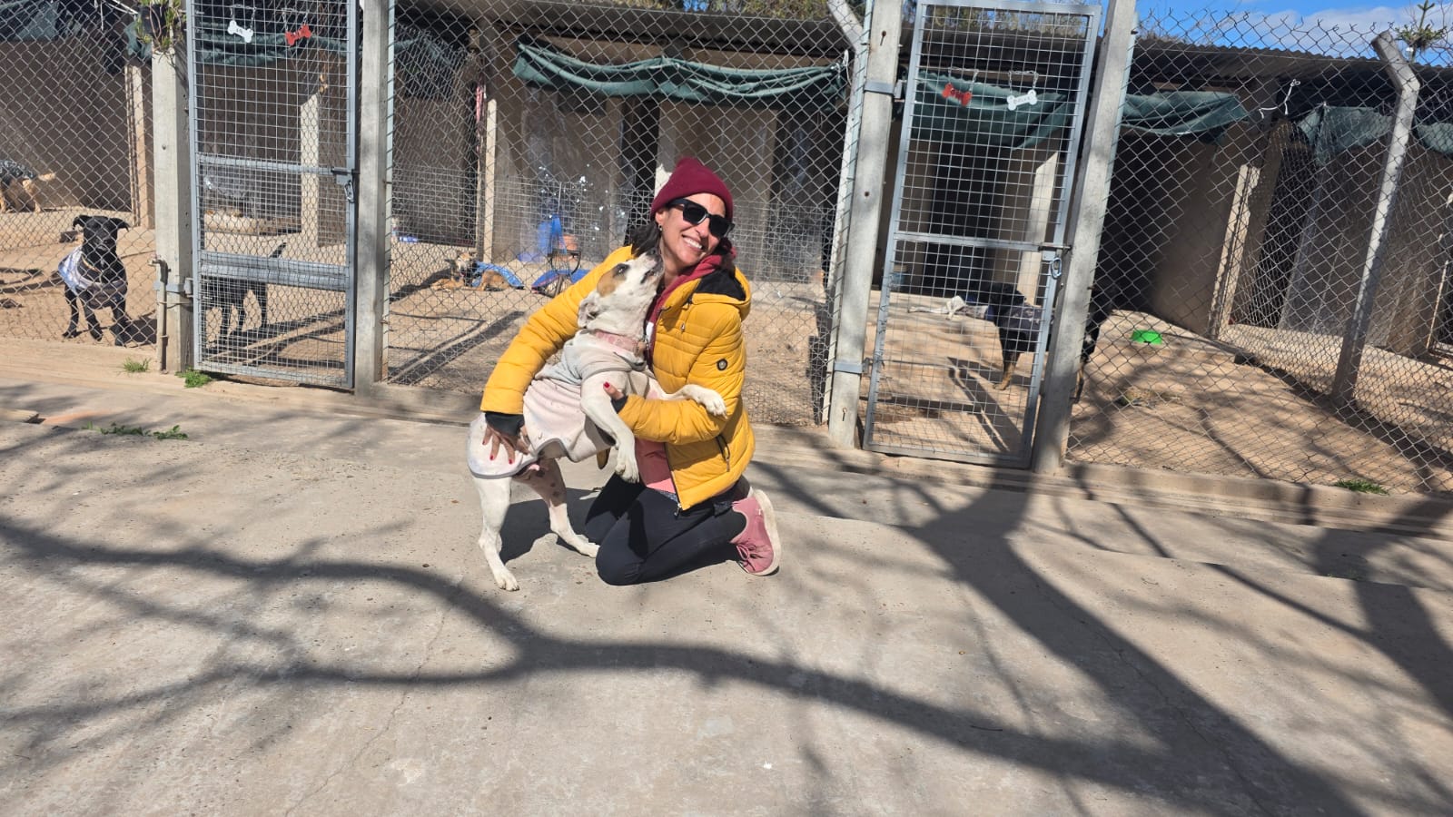 El trabajo detrás de Animales en Adopción, un refugio sostenido a pulmón