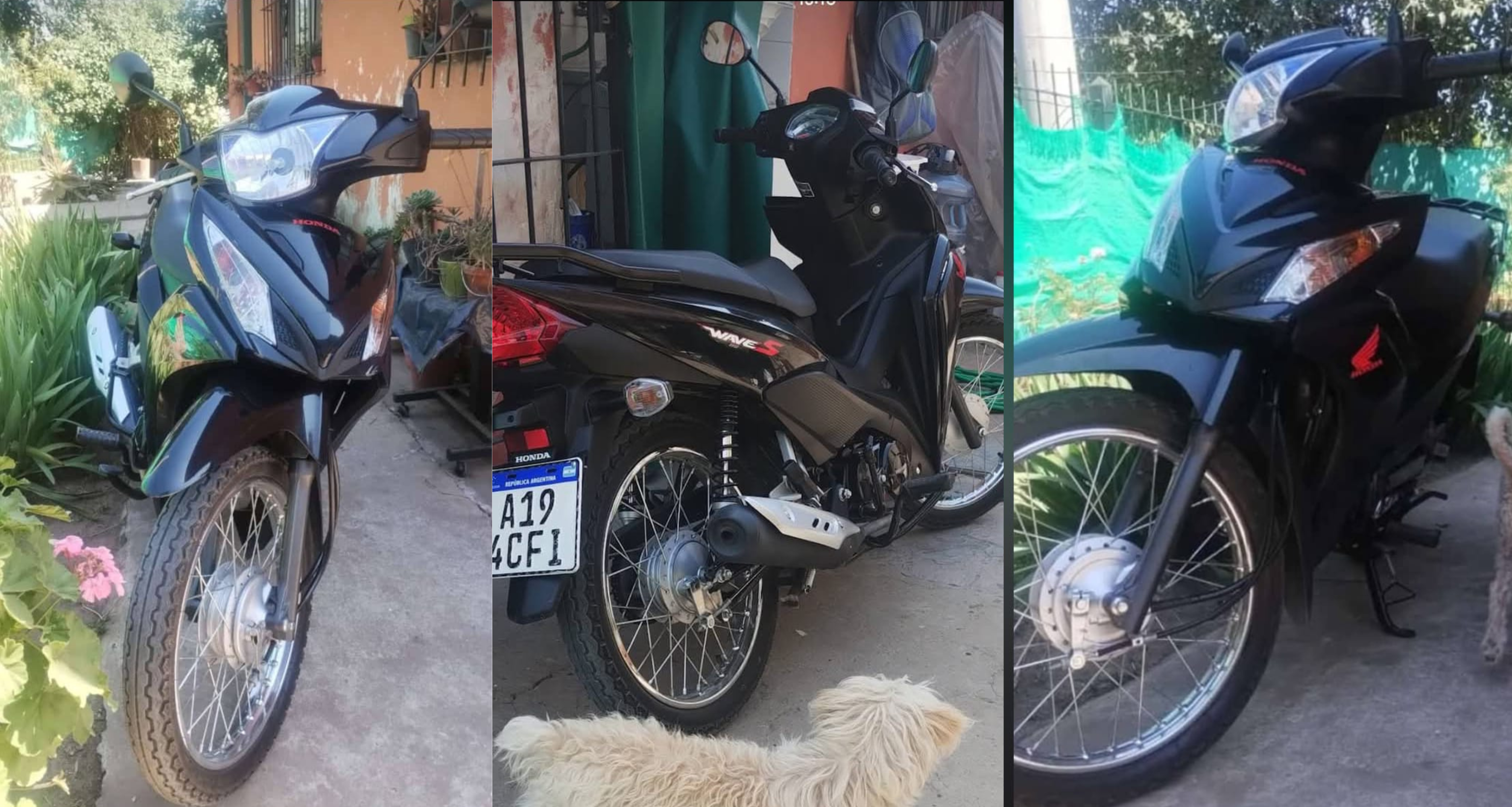 Robaron una moto a mano armada en Antártida y Lintridis