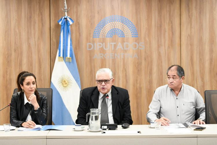 Agustina Propato avaló la posible citación a Luis Petri en la Comisión de Defensa Nacional