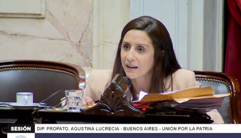 Agustina Propato denuncia irregularidades y riesgos para la soberanía en la licitación de la Vía Troncal de Navegación