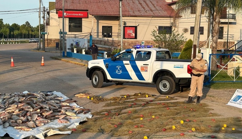 Prefectura incautó más de dos toneladas de pescado capturadas de manera ilegal